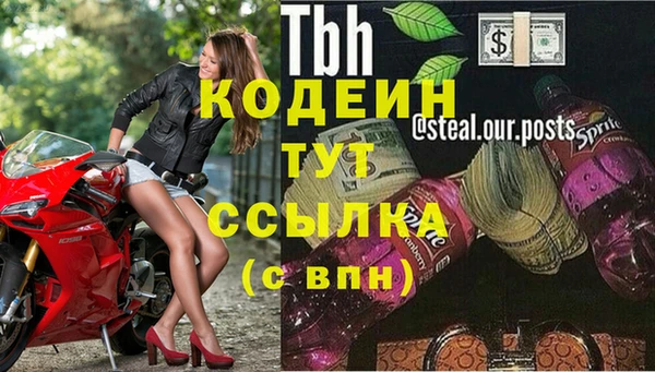 эйфоретик Гусь-Хрустальный