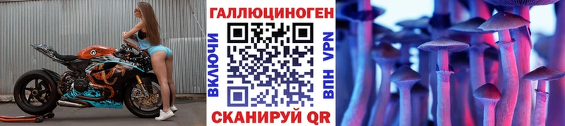 Псилоцибиновые грибы Psilocybe  дарнет шоп  Шумерля 